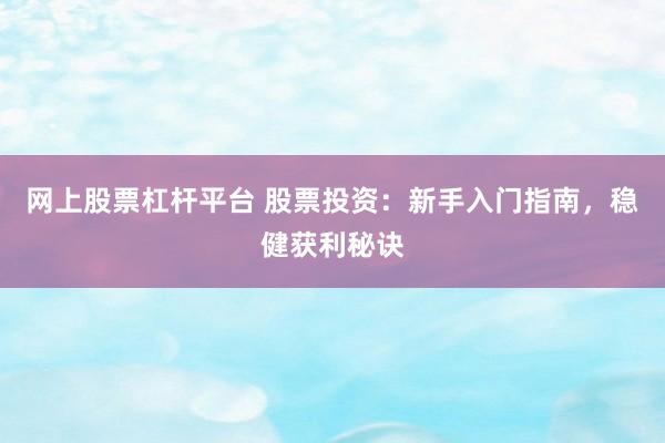 网上股票杠杆平台 股票投资：新手入门指南，稳健获利秘诀