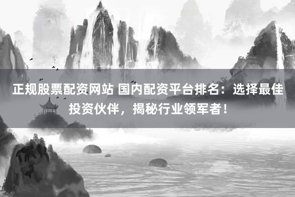 正规股票配资网站 国内配资平台排名：选择最佳投资伙伴，揭秘行业领军者！