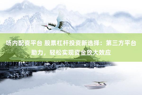 场内配资平台 股票杠杆投资新选择：第三方平台助力，轻松实现资金放大效应