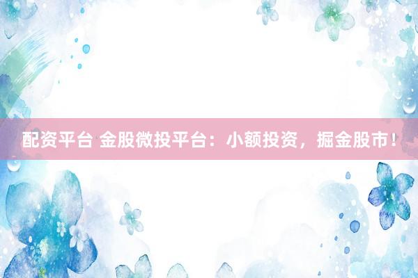 配资平台 金股微投平台：小额投资，掘金股市！