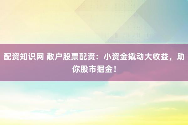 配资知识网 散户股票配资：小资金撬动大收益，助你股市掘金！