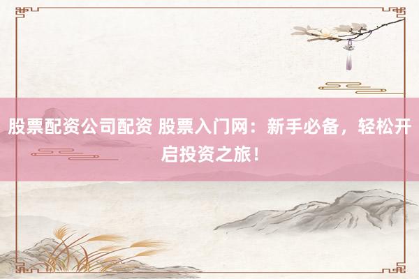 股票配资公司配资 股票入门网：新手必备，轻松开启投资之旅！