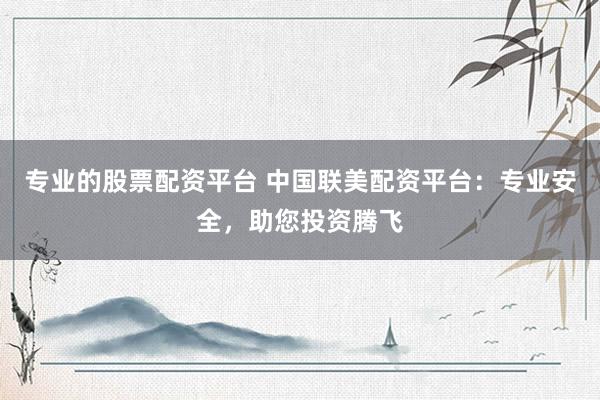 专业的股票配资平台 中国联美配资平台：专业安全，助您投资腾飞