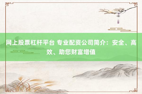 网上股票杠杆平台 专业配资公司简介：安全、高效、助您财富增值