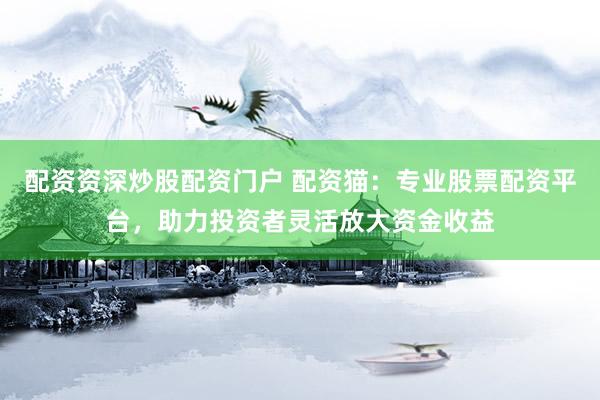 配资资深炒股配资门户 配资猫：专业股票配资平台，助力投资者灵活放大资金收益
