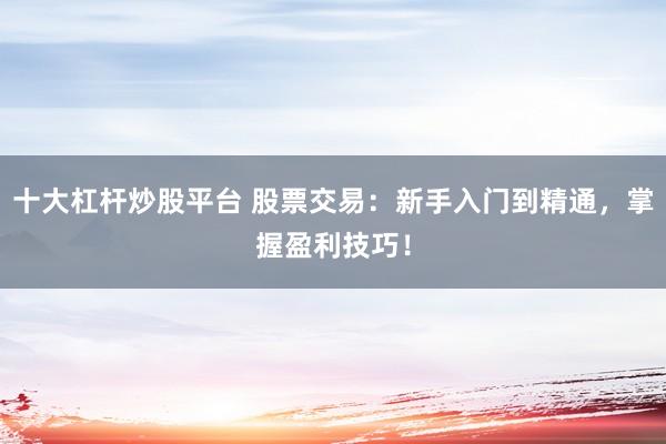 十大杠杆炒股平台 股票交易：新手入门到精通，掌握盈利技巧！