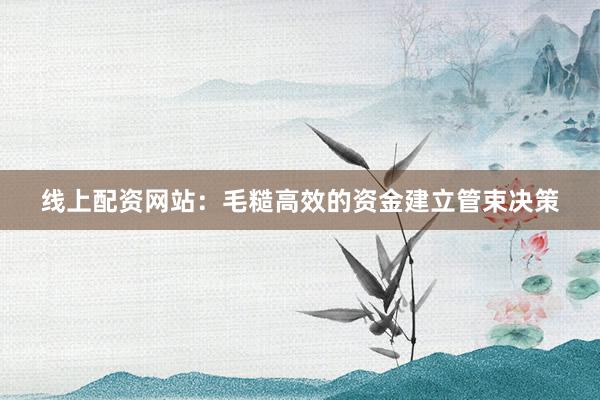 线上配资网站:毛糙高效的资金建立管束决策
