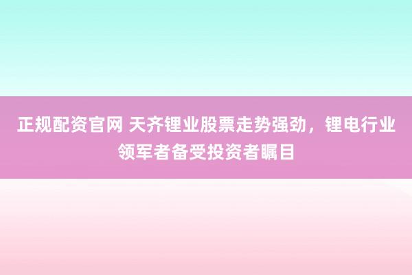 正规配资官网 天齐锂业股票走势强劲，锂电行业领军者备受投资者瞩目