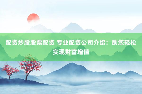 配资炒股股票配资 专业配资公司介绍：助您轻松实现财富增值