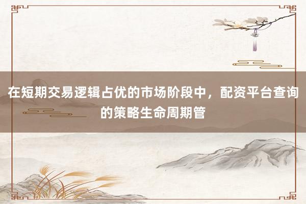 在短期交易逻辑占优的市场阶段中，配资平台查询的策略生命周期管