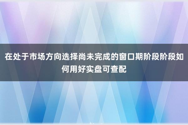 在处于市场方向选择尚未完成的窗口期阶段阶段如何用好实盘可查配