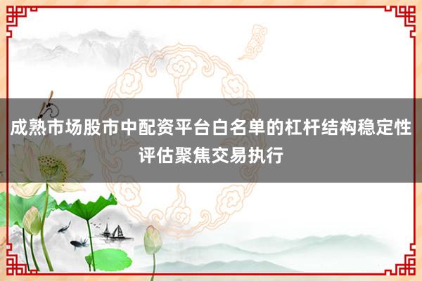 成熟市场股市中配资平台白名单的杠杆结构稳定性评估聚焦交易执行