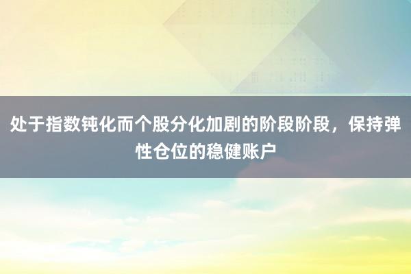 处于指数钝化而个股分化加剧的阶段阶段，保持弹性仓位的稳健账户