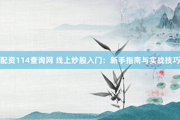 配资114查询网 线上炒股入门：新手指南与实战技巧